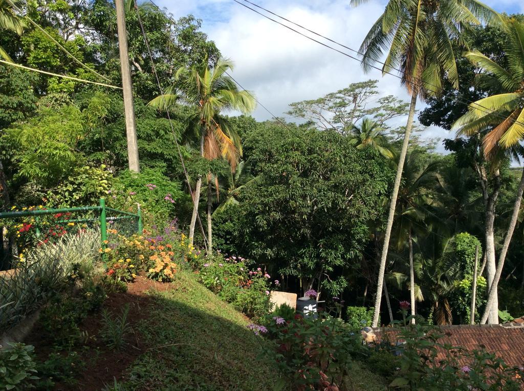 Windy Ridge Maison d'hôtes Kandy