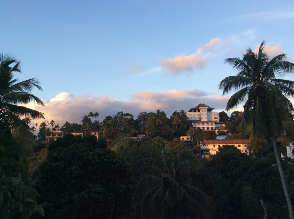 Windy Ridge Kandy